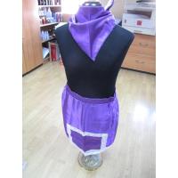 Delantal Morado (Lazaro) (Set + Pañuelo)