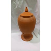 VELON AROMATICO Rustico Ruda 16 x 5.5 cm (Verde)