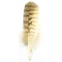 Art. Ritual Pluma Buho Real natural (importada) 15 a 22 cm a...