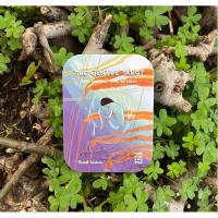 Tarot The Gentle Tarot Pocket Deck (EN) (2022) - Mariza - Ma...