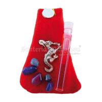 Amuleto Dragon Rojo (Arraza con Todo) (Bolsita + Explicacion)