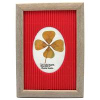 Cuadro Trebol Natural 4 Hojas( Varios Colores )