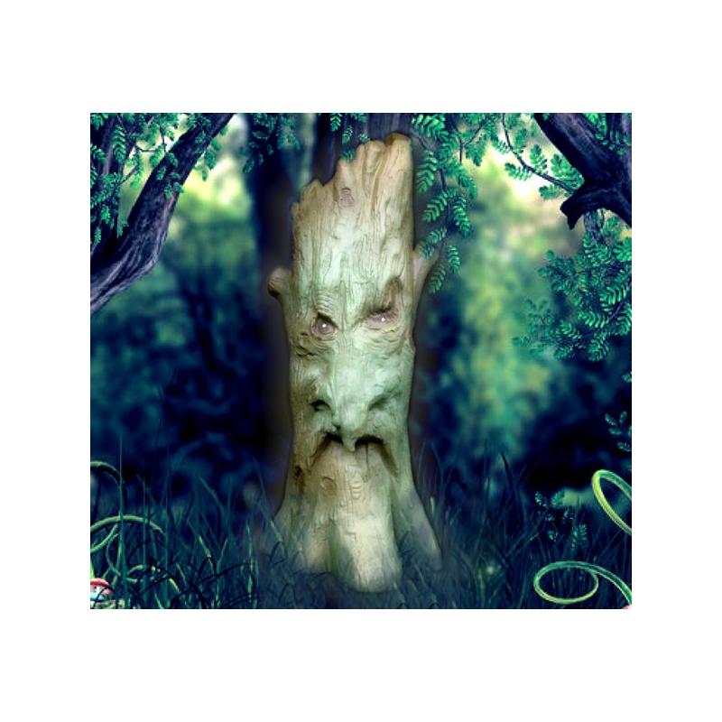 Muñeco Magico Huasca 40 cm. (Sueños) (Elfos) Muñeco Magico Huasca 40 cm. (Sueños) (Elfos)