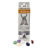 Vela Aromatica DSoja Campreste (En Vaso 9 x 8)  Ecologica