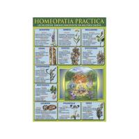 Vela Aromatica DSoja Manzana Caramelizada (En Vaso 9 x 8)  E...