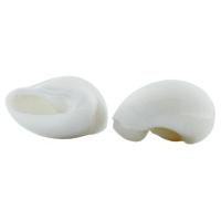 MAR Caracoles Natica Blanca \"Moon Shell\" x 100 gr