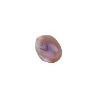 PIEDRA Antistress Carneola (Blister) (has)