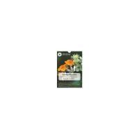 Cartas Nestinar